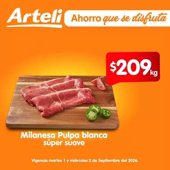 Catálogo Arteli | Nuestras mejores ofertas para ti | 2026-09-01T00:00:00.000Z - 2026-09-02T00:00:00.000Z