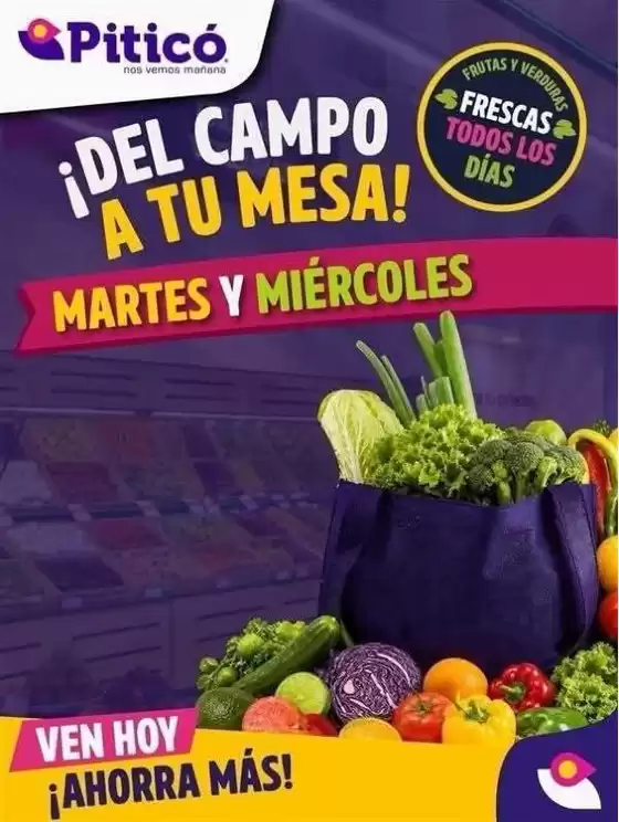 Catálogo Piticó | Ofertas Piticó | 2026-09-01T00:00:00.000Z - 2026-09-02T00:00:00.000Z
