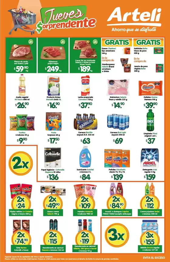 Catálogo Arteli | Ofertas Arteli | 2026-09-03T00:00:00.000Z - 2026-09-03T00:00:00.000Z