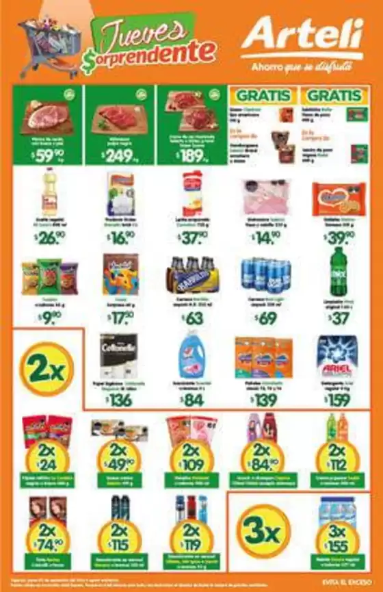 Catálogo Arteli express | Arteli Express | 2026-09-03T00:00:00.000Z - 2026-09-03T00:00:00.000Z