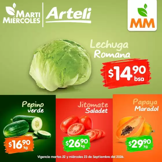 Catálogo Arteli express en Acayuca (Hidalgo) | Ahorra ahora con nuestras ofertas | 2026-09-22T00:00:00.000Z - 2026-09-23T00:00:00.000Z