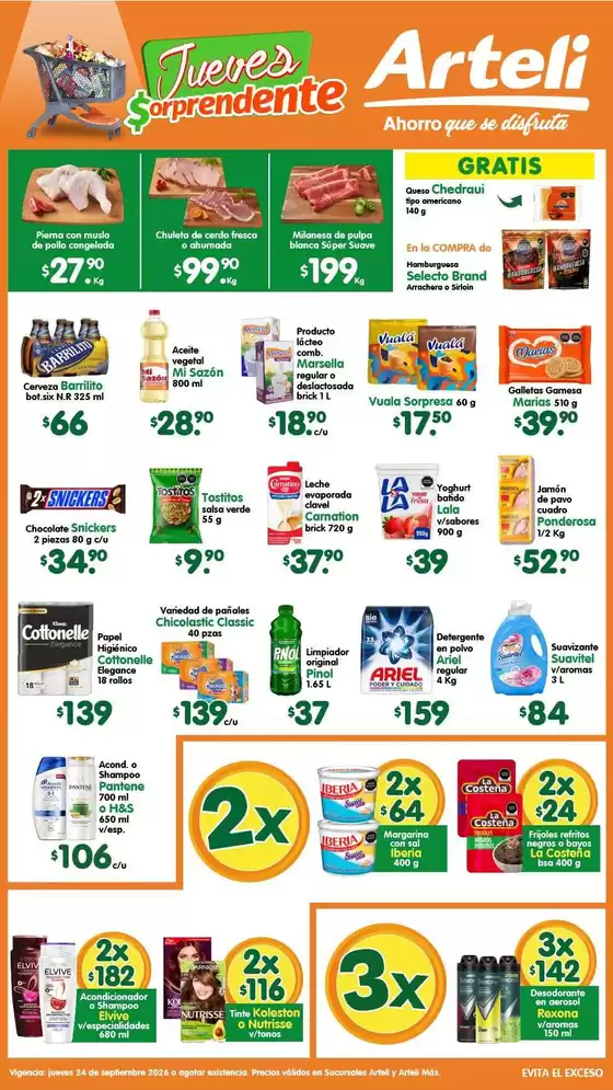 Catálogo Arteli express | Ofertas Arteli express | 2026-09-24T00:00:00.000Z - 2026-09-24T00:00:00.000Z