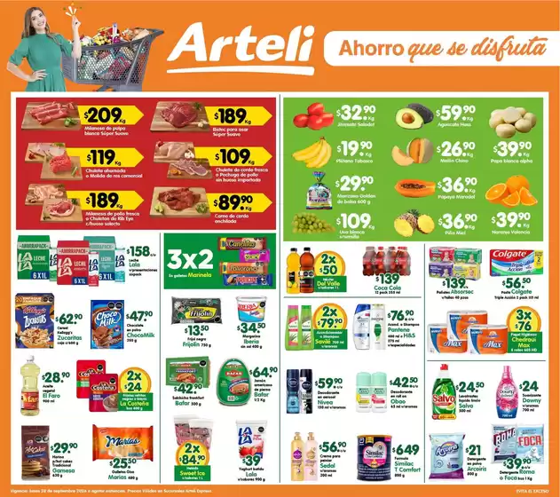 Catálogo Arteli | Ofertas y gangas exclusivas | 2026-09-28T00:00:00.000Z - 2026-09-28T00:00:00.000Z