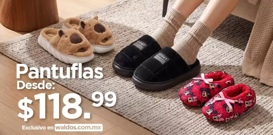Catálogo Waldos | Ofertas exclusivas para nuestros clientes | 2026-09-30T00:00:00.000Z - 2026-10-31T00:00:00.000Z