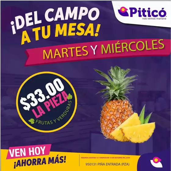 Catálogo Piticó | Ofertas Piticó | 2026-10-13T00:00:00.000Z - 2026-10-14T00:00:00.000Z